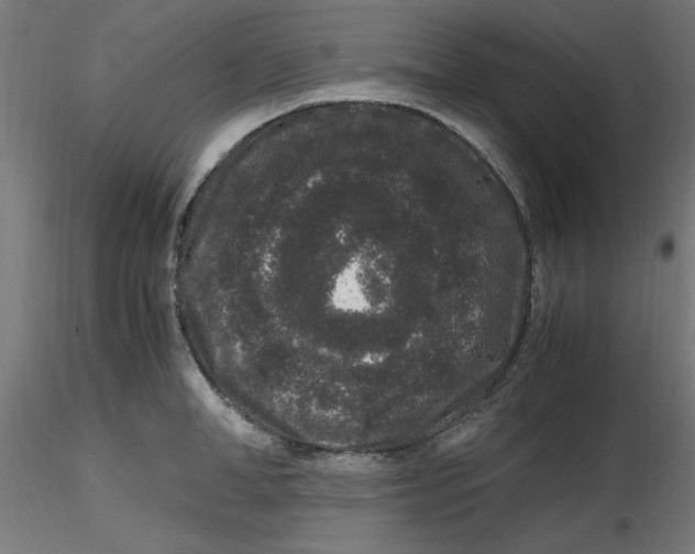 X0000116780998201001071233