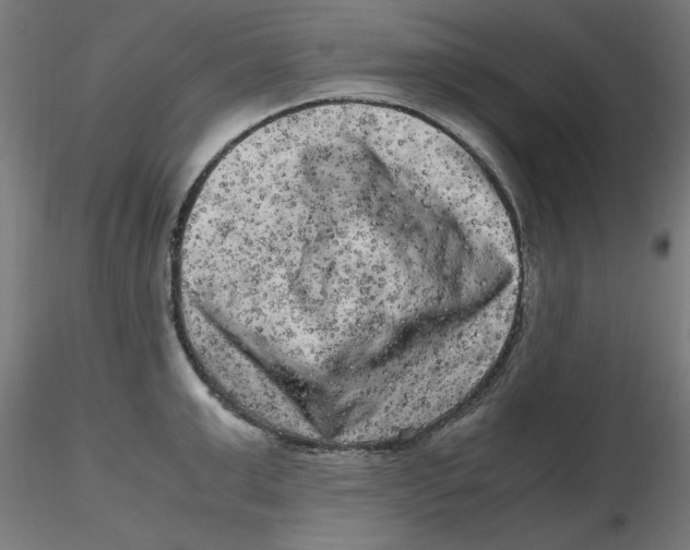 X0000116780999201001071233