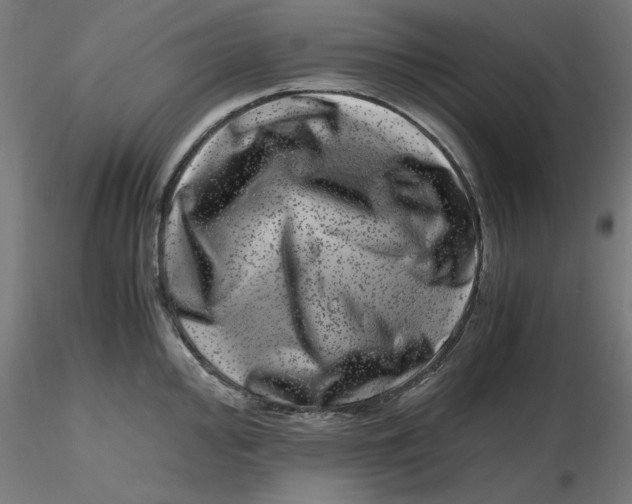 X0000116781000201001071233