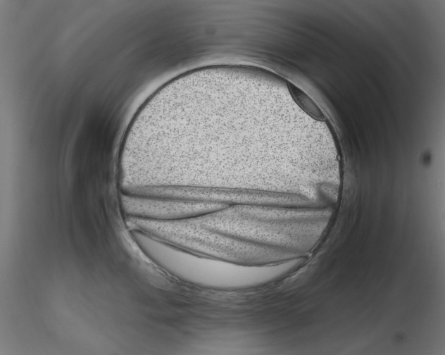 X0000116781004201001071233