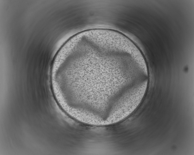 X0000116781006201001071233