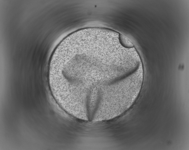 X0000116781008201001071233