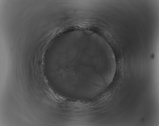 X0000116781009201001071232