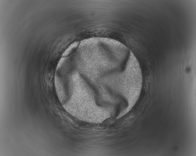 X0000116781010201001071232