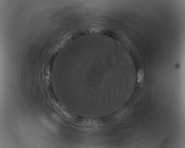 X0000116781011201001071232