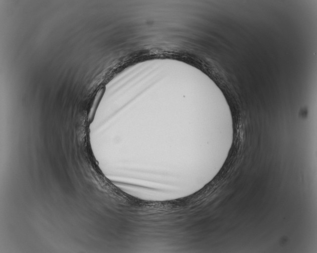 X0000116781012201001071232