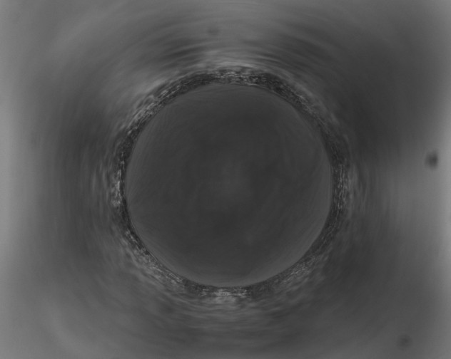 X0000116781013201001071232