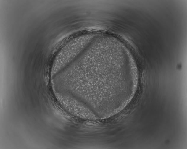 X0000116781015201001071232