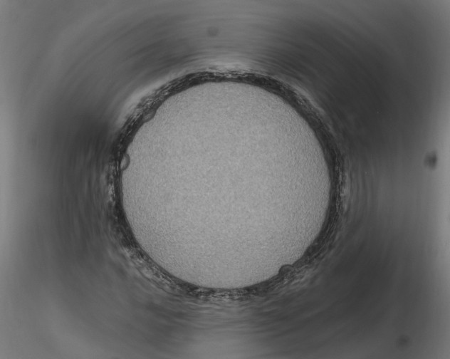 X0000116781016201001071232