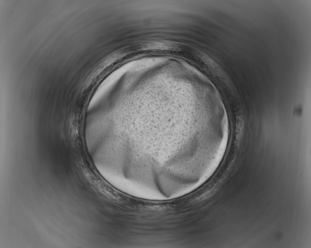 X0000116781017201001071232