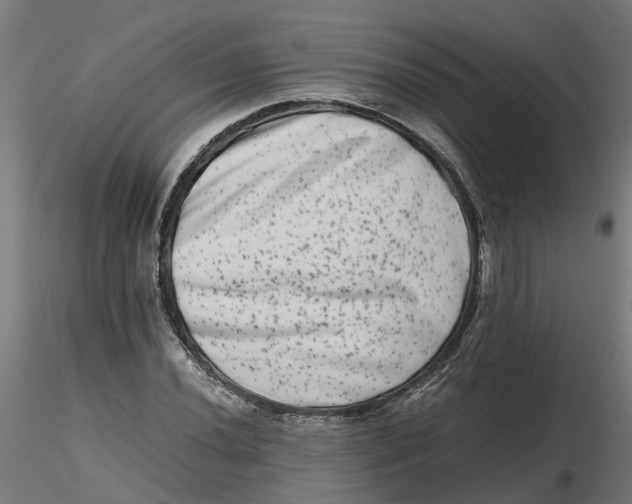 X0000116781020201001071232