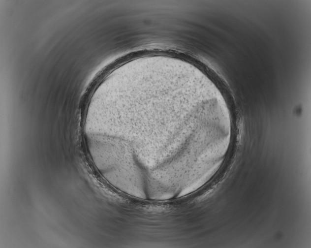 X0000116781021201001071232