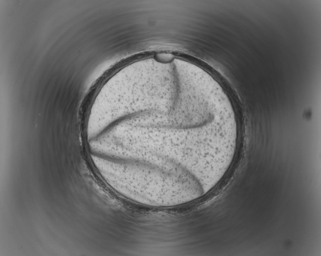 X0000116781022201001071232