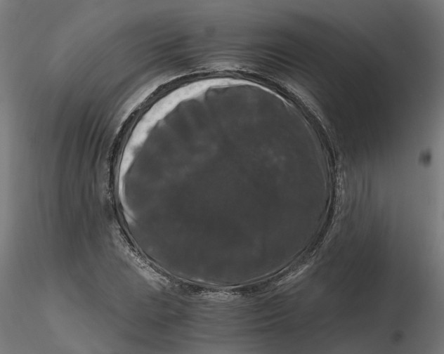 X0000116781023201001071233