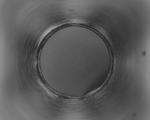 X0000116781024201001071233