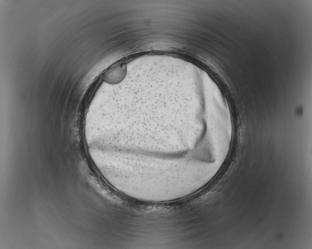 X0000116781026201001071233