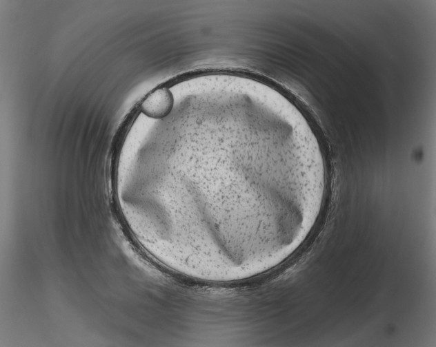 X0000116781030201001071233