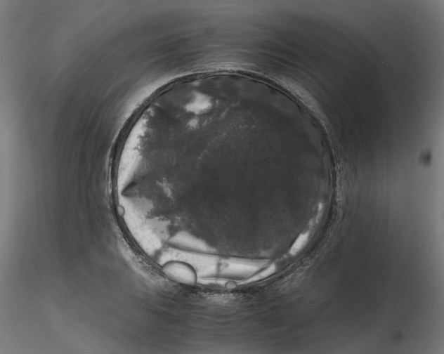 X0000116781031201001071233