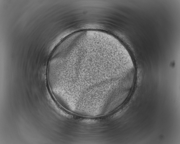 X0000116781033201001071233