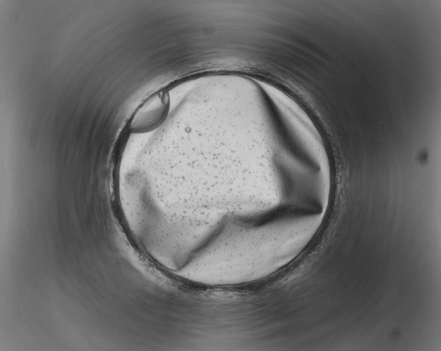 X0000116781034201001071233