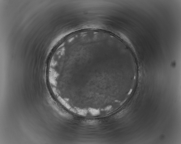 X0000116781035201001071233