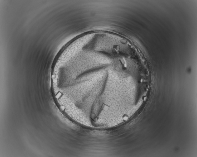 X0000116781036201001071233