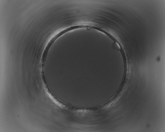 X0000116781037201001071233