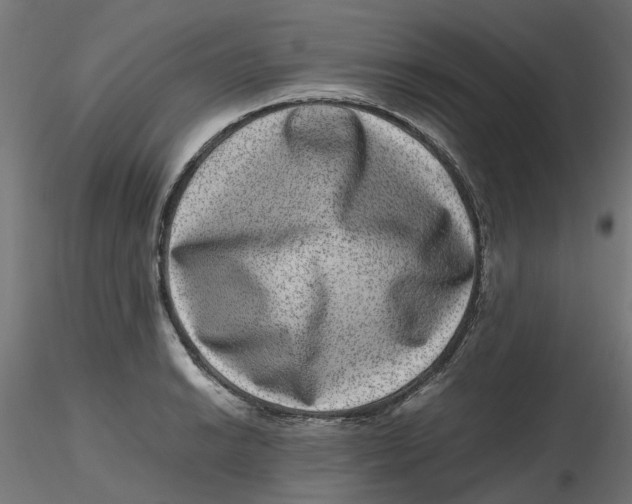 X0000116781038201001071233