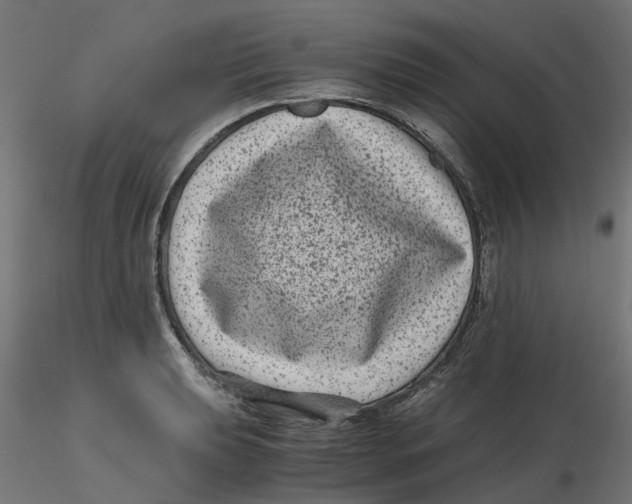 X0000116781039201001071233