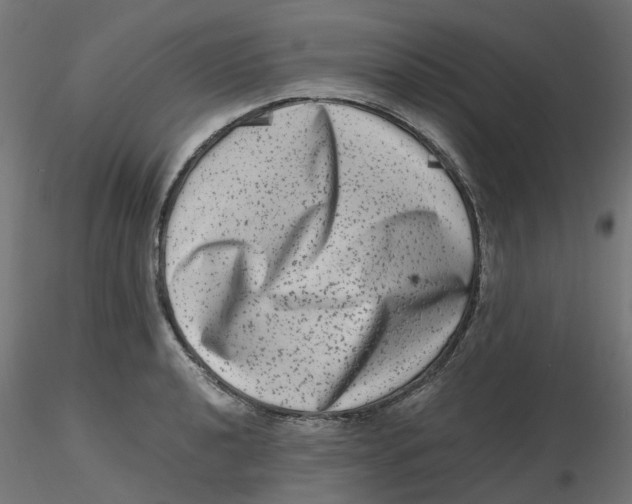 X0000116781040201001071233