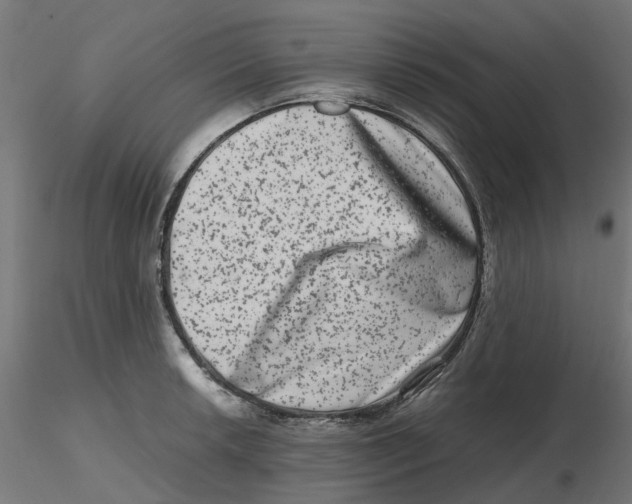 X0000116781042201001071233