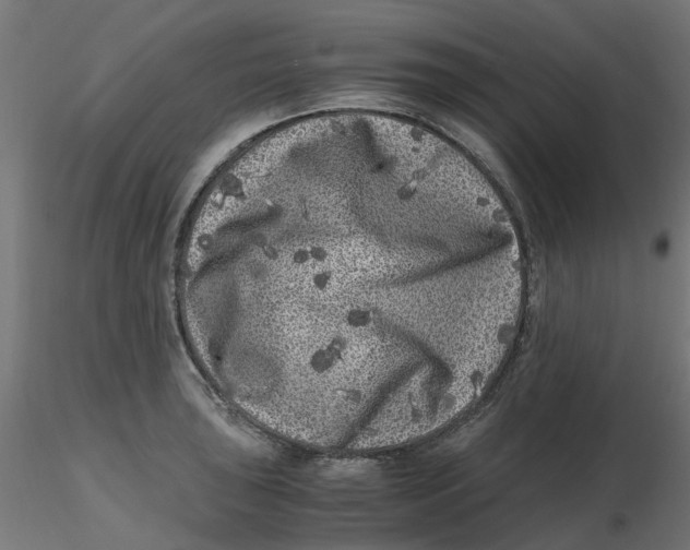 X0000116781043201001071233