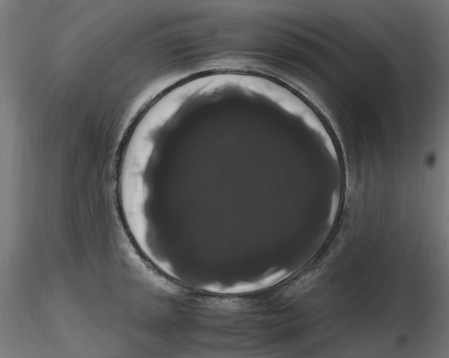 X0000116781045201001071233