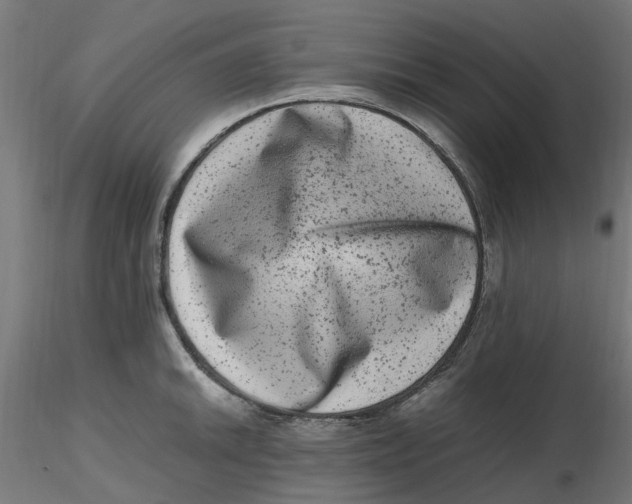 X0000116781046201001071233