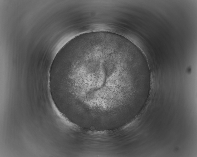 X0000116781047201001071233