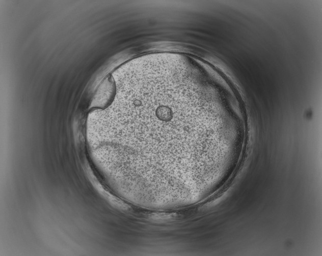 X0000116781049201001071233