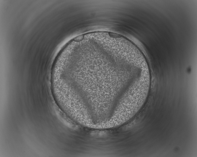 X0000116781051201001071233