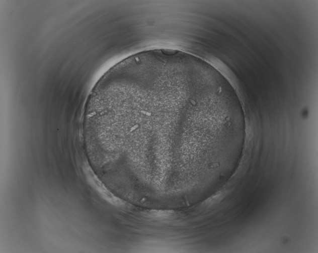 X0000116781052201001071233