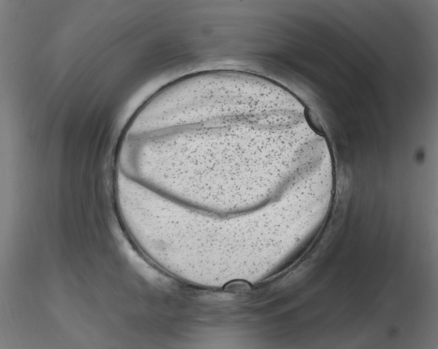 X0000116781054201001071233