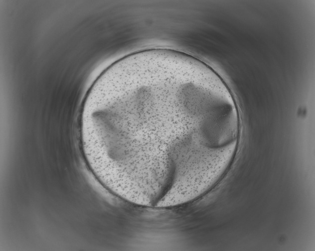 X0000116781056201001071233