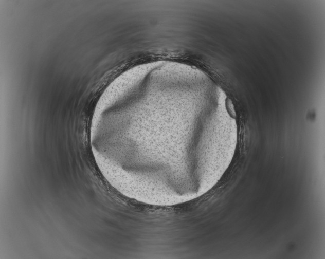 X0000116781058201001071232