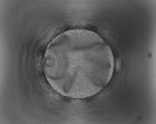 X0000116781059201001071232