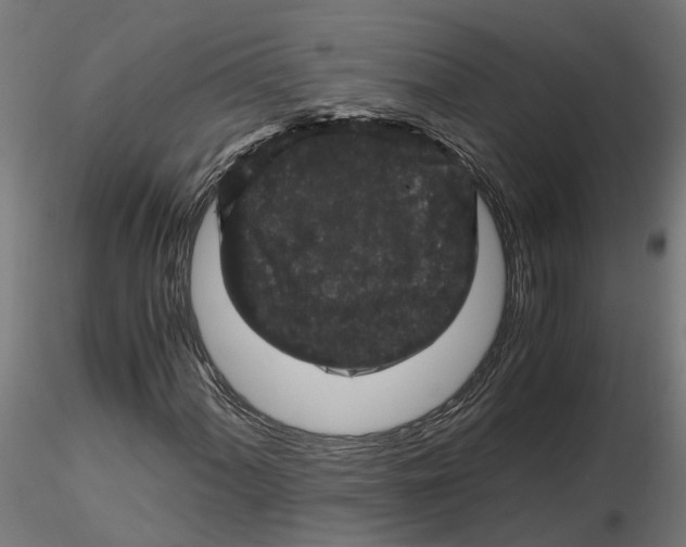 X0000116781060201001071232