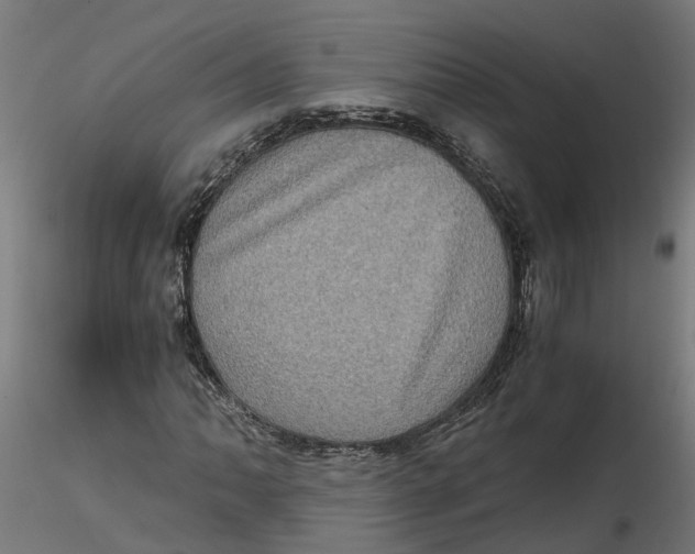 X0000116781062201001071232