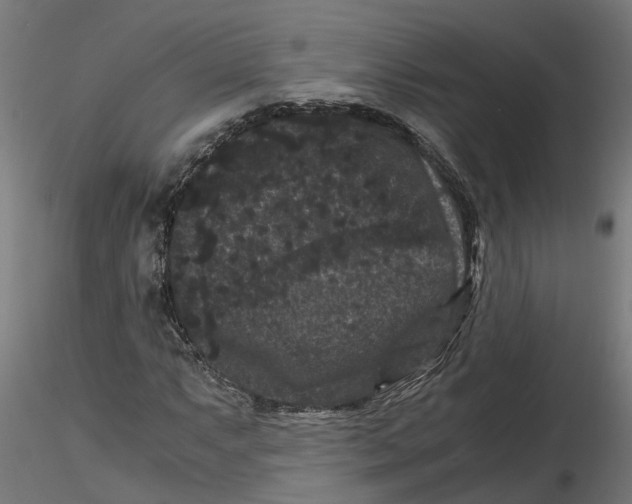 X0000116781063201001071232