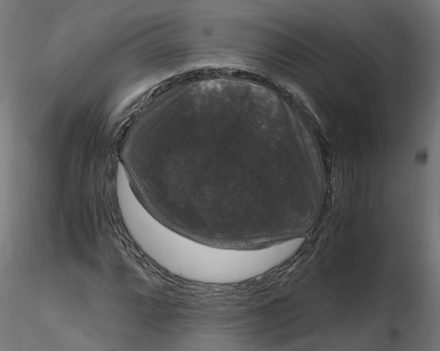 X0000116781064201001071232