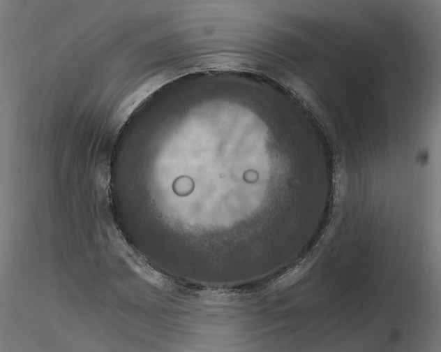 X0000116781065201001071232