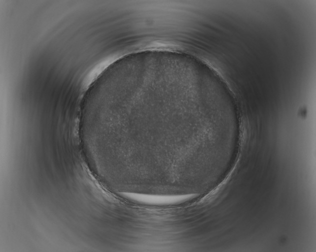 X0000116781066201001071232