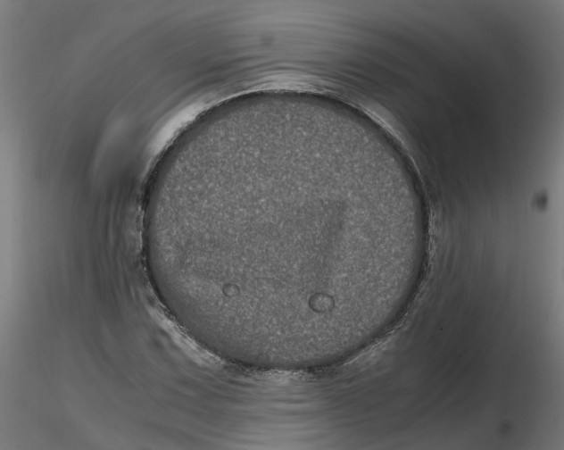 X0000116781067201001071232