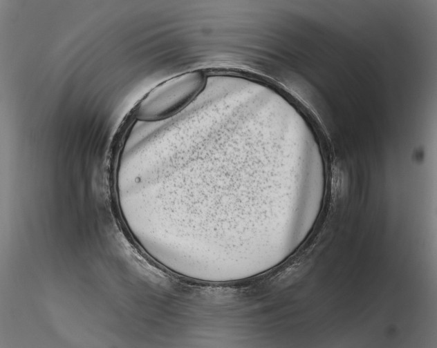 X0000116781068201001071232